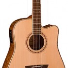 Washburn WD 30SCE