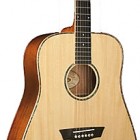 Washburn WD 55S