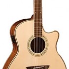 Washburn WCG 18CE