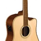 Washburn WCD 18CE