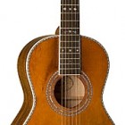 Washburn R 314K