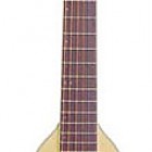 RO 10
