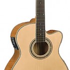 Washburn EA 20