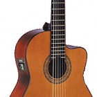 Washburn C 5CE