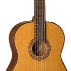 Washburn C 40