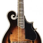 Washburn M 6SW