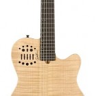 Godin ACS Limited Edition