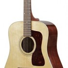 D-40 Standard Acoustic