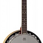 Washburn B 9