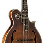 Washburn M 118SW