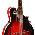 Washburn M 3SWE