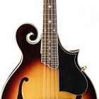 Washburn M 3SW