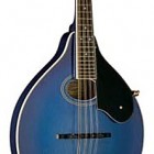 Washburn M 1SDL