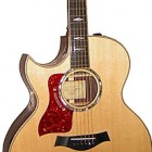 Taylor 815ce Left Handed