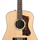 Guild D-40 Bluegrass Jubilee