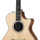 Taylor W12ce-LTD